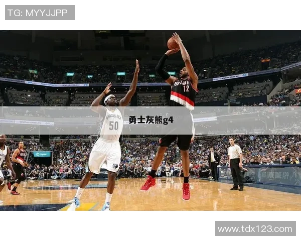 灰熊与老鹰精彩对决回放分析赛场瞬间回顾与战术解析