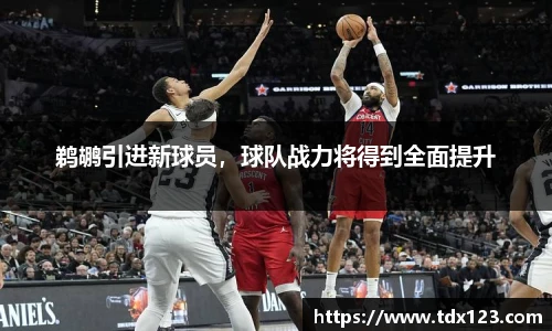 鹈鹕引进新球员，球队战力将得到全面提升